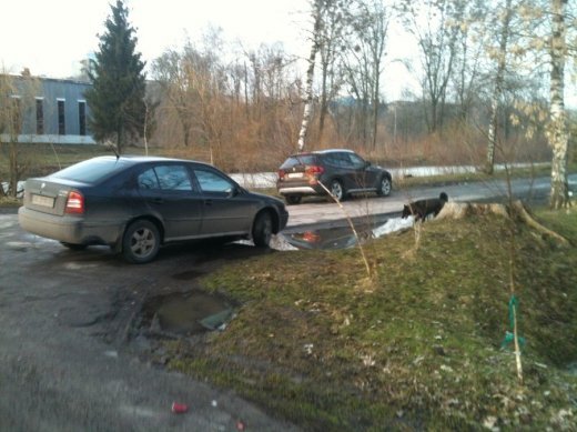 Як дбають про чисте повітря у парку Лесі Українки